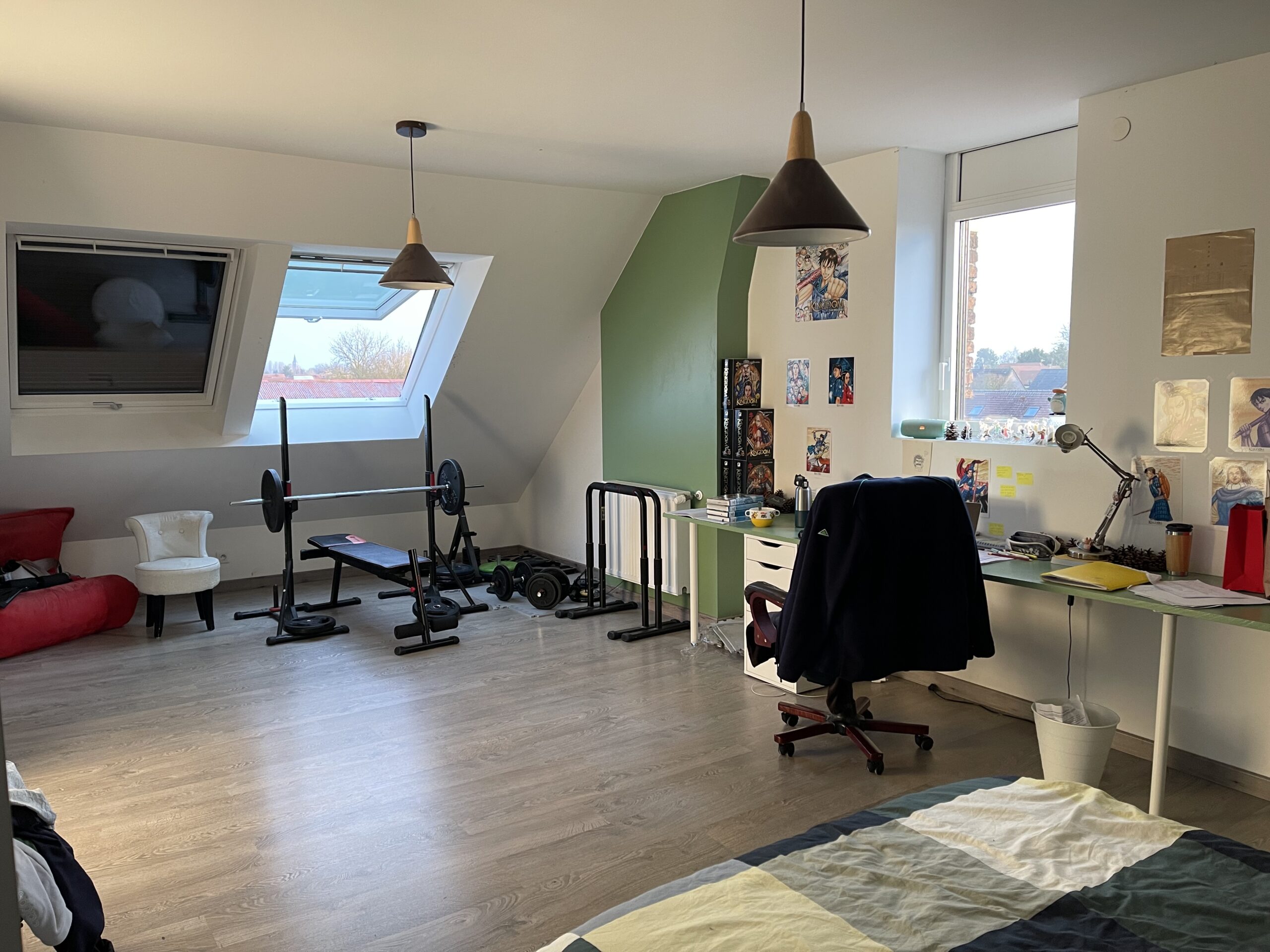 Combles aménagés en salle de sport et bureau avec fenêtre de toit Velux, réalisation De Sousa Home, Nord-Pas-de-Calais. Chambre d'adolescent.
