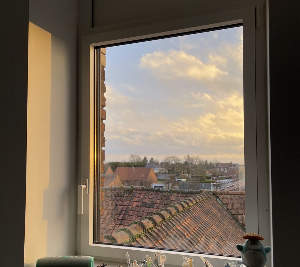 Fenêtre de toit Velux posée dans les combles avec vue panoramique sur les toits, réalisation De Sousa Home, Hauts-de-France